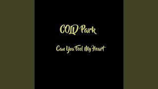 Can You Feel My Heart (Cover)