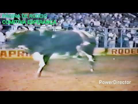 CARLOS MANUEL RIBEIRO (PORTUGUÊS IN MEMÓRIA) TOURO  CARIJO  VOTUPORANGA 90