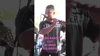 Download lagu MESRA BANGET COY, ALUNAN SULIMNYA,PEMAIN SULIM MUDA #adatbatak #pernikahanbatak #shortsfeed,#Shorts mp3
