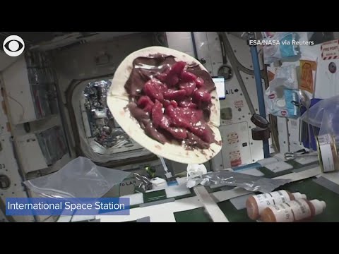 French astronaut makes crepe aboard International Space Station