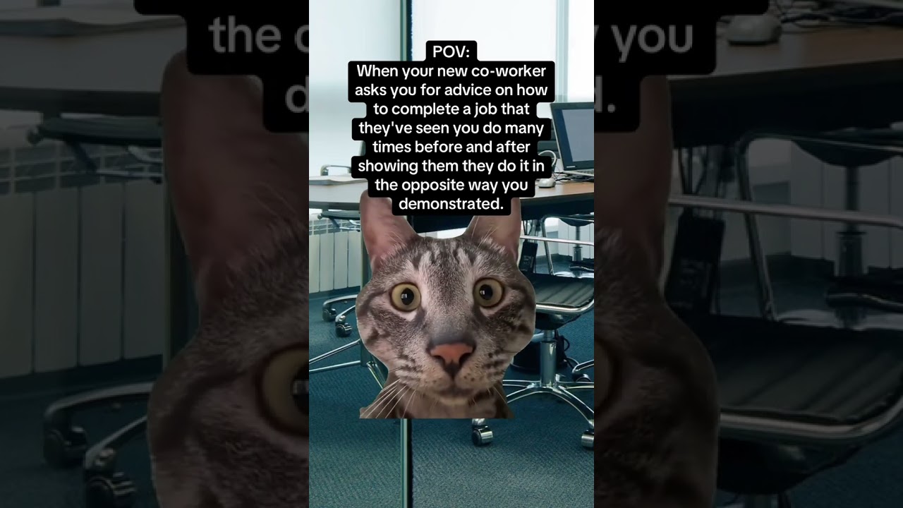 we all have that one colleague, funny work meme #funnyworkmeme