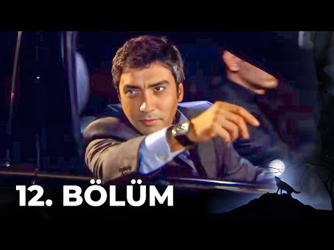 Kurtlar Vadisi Pusu - 12. Bölüm FULL HD