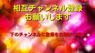 相互チャンネル登録お願いします！