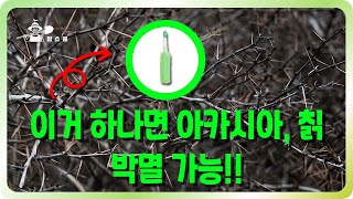 칡, 아카시아 이것 하나로 박멸 가능합니다! ㅣ 호르몬 작용제 사용법 ㅣ 제초제에 관한 모든 것