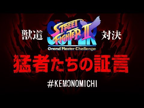 Daigo Presents "Kemonomichi" - Interview with SSF2X Players!