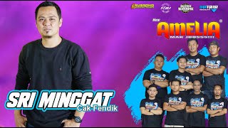 Download lagu SRI MINGGAT CAK FENDIK mp3