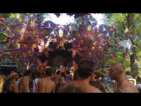 Connection festival 2017 vibe