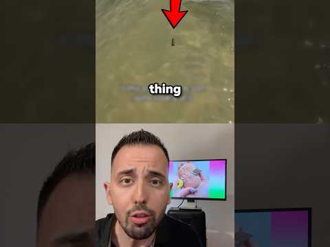 Τι είναι αυτό;🤔 #shorts