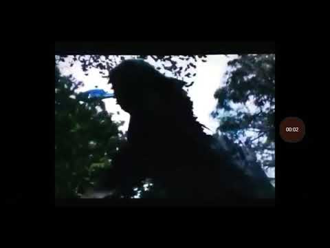 Toon Age Dawn Of The Animals(1)