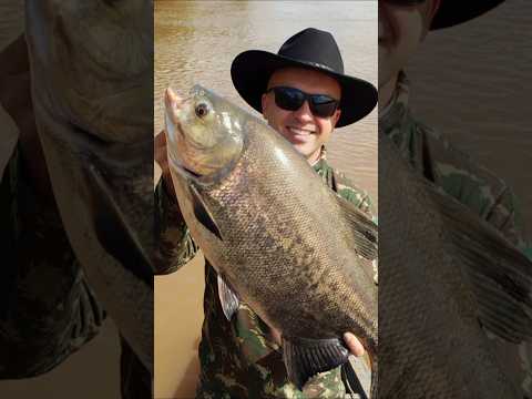 #pescaria #rio #grajau #maranhão #fazendeiro #maranhense #investimento #futebol #betfairtrading