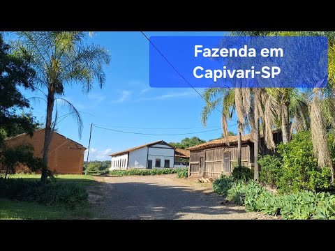 Vida no interior de São Paulo (Fazenda Milhã, Capivari-SP)