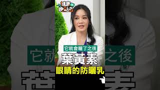 葉黃素 眼睛的防曬乳【健康晚點名】EP23 #健康晚點名 #健康管理師珮薰 #林怡汝 #王瑞玲 #眼睛 #黃斑部 #葉黃素 #健康料理 #健康帶著走 #健康訊息
