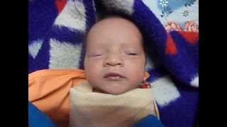 Baby videos - Funny Cute