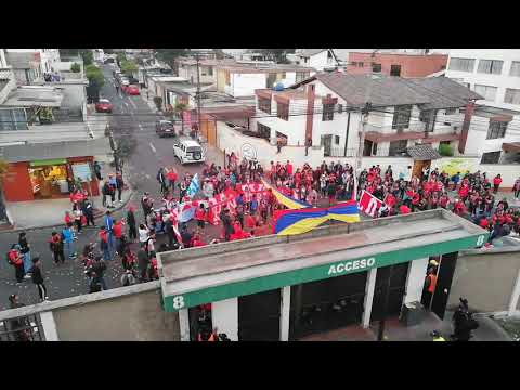 "Marea Roja 2019" Barra: Marea Roja &bull; Club: El Nacional