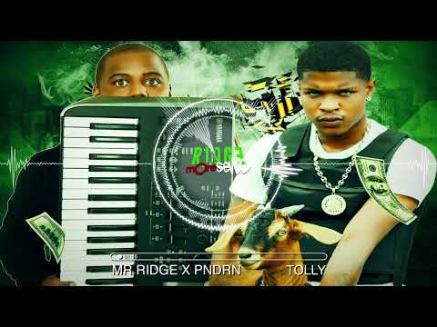 Mr Ridge X PNDRN feat. Killy Killy - Tolly (Funny Riddim)