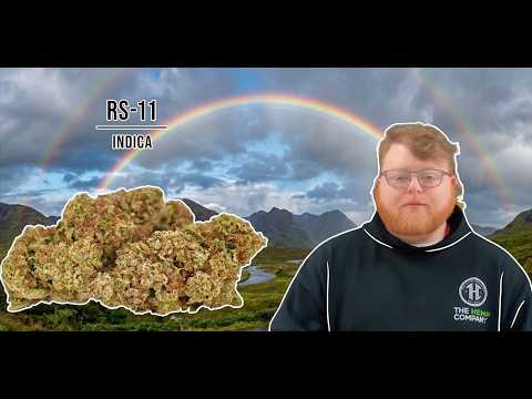 Rs 11 Strain Review