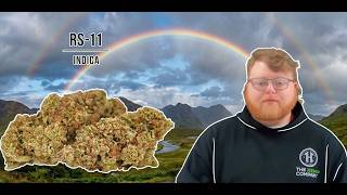 RS-11 Strain Review: Like a Tropical Fuel Spill 🌴⛽