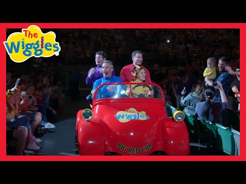 Toot Toot, Chugga Chugga, Big Red Car 🚗 Live in Concert 🎉 The Wiggles