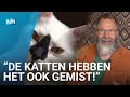 Katten knuffelen in café kan weer ondanks coronamaatregelen