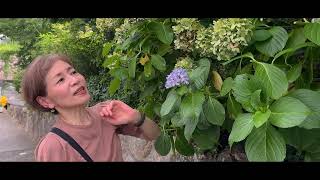 一谷さんと御影の夏を歩く