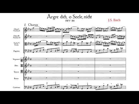 Bohemian Baroque