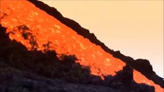 BJÖRK - Bachelorette (lyrics on screen)