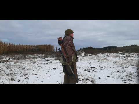 Roe Buck Stalking Aberdeenshire
