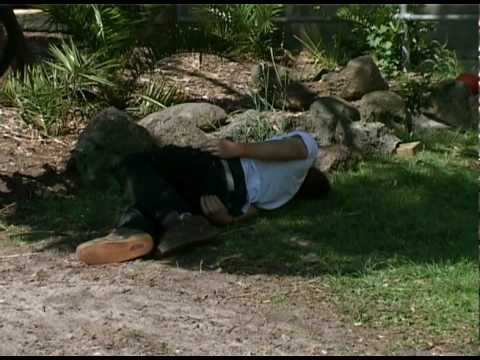 Focalpoint Bmx - The Waiting List DVD - CRASH SECTION