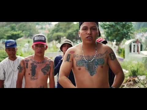 Cayar Little King - Que Me Cuentas a Mí ( VÍDEO OFICIAL)