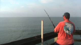 The Week At Surf City Pier