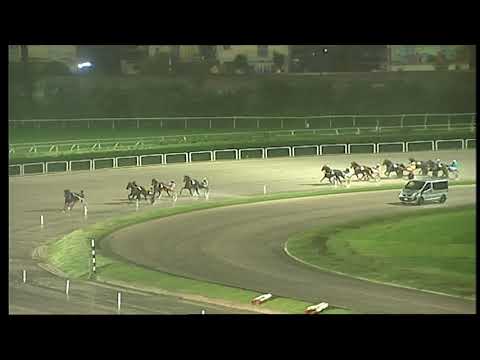 Napoli Trotto 8/12/2021 - 7ª corsa