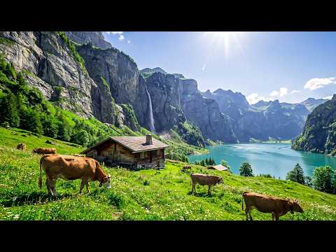 Restores The Nervous System🌿Relaxing Music for Deep Sleep, Nature Sounds for Inner Calm #1