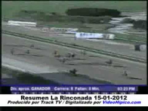 Resumen de las carreras del 15-1-2012 (La Rinconada)