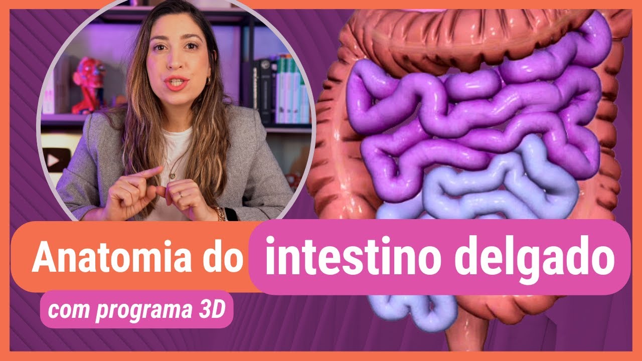 ANATOMIA DO INTESTINO DELGADO! Com programa 3D