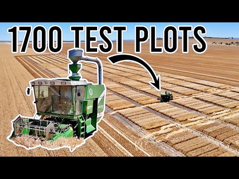What is This Machine? | Harvest 2025 Ep 10 | Vlog 438
