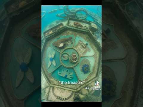 Quiero un prodigio de Miraculous #prodigios #miraculousworld  #miraculousladybug #catnoir