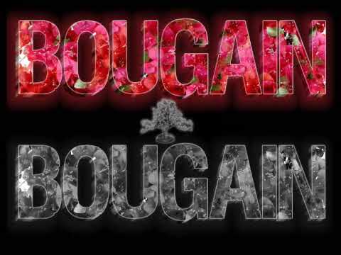 David Scobie & Brigitte Rodrigues - Bougainvillea (We don't like Bob)