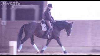 The Vulture [Pendulum] [HD]