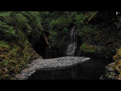 Gabriel Gorcea si Prietenii vol. 3 - Trece viata