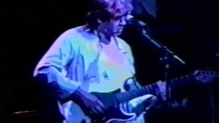 Mick Taylor play Willie Dixon Little Red Rooster live 1990