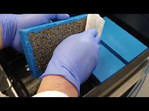 Water permeability EN 1062-3 [Paint Testing]