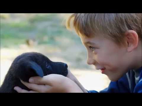 Ascension vs. Alan Morris & Sequentia - Someone Like Contact (Myon & Shane 54 Mashup)