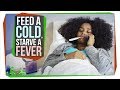 Should You Really 'Feed a Cold, Starve a Fever'?