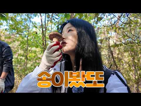 심봤다 아니고 송이봤다~
