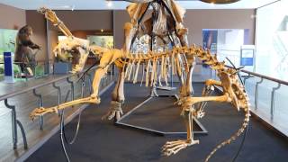 흥미진진공주 행복이야기(계룡산 자연사 박물관) 이미지