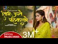 ELEENA CHAUHAN|| Bishnu sapkota New Nepali song Timi Antai Palkiyechau ( तिमि अन्तै पल्किए