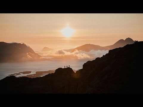 The Ambientalist - Pandora