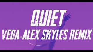 Véda - Quiet (Alex Skyles Remix) VISUALIZER
