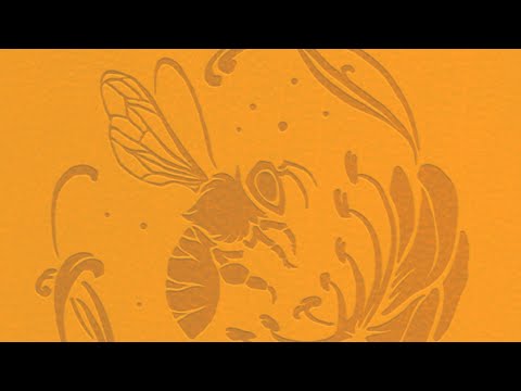 DSA Durchgeblättert Folge 281 - Mokoscha-Vademecum