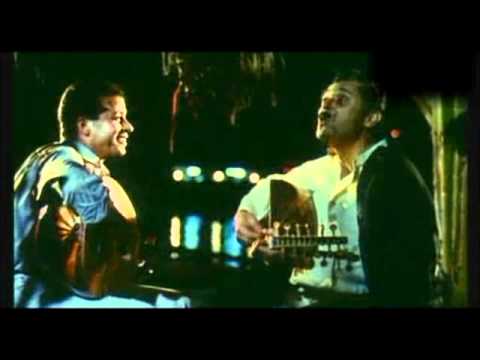 @Dawayr #Dawayr يالا بينا تعالوا - الكِت كات #دواير